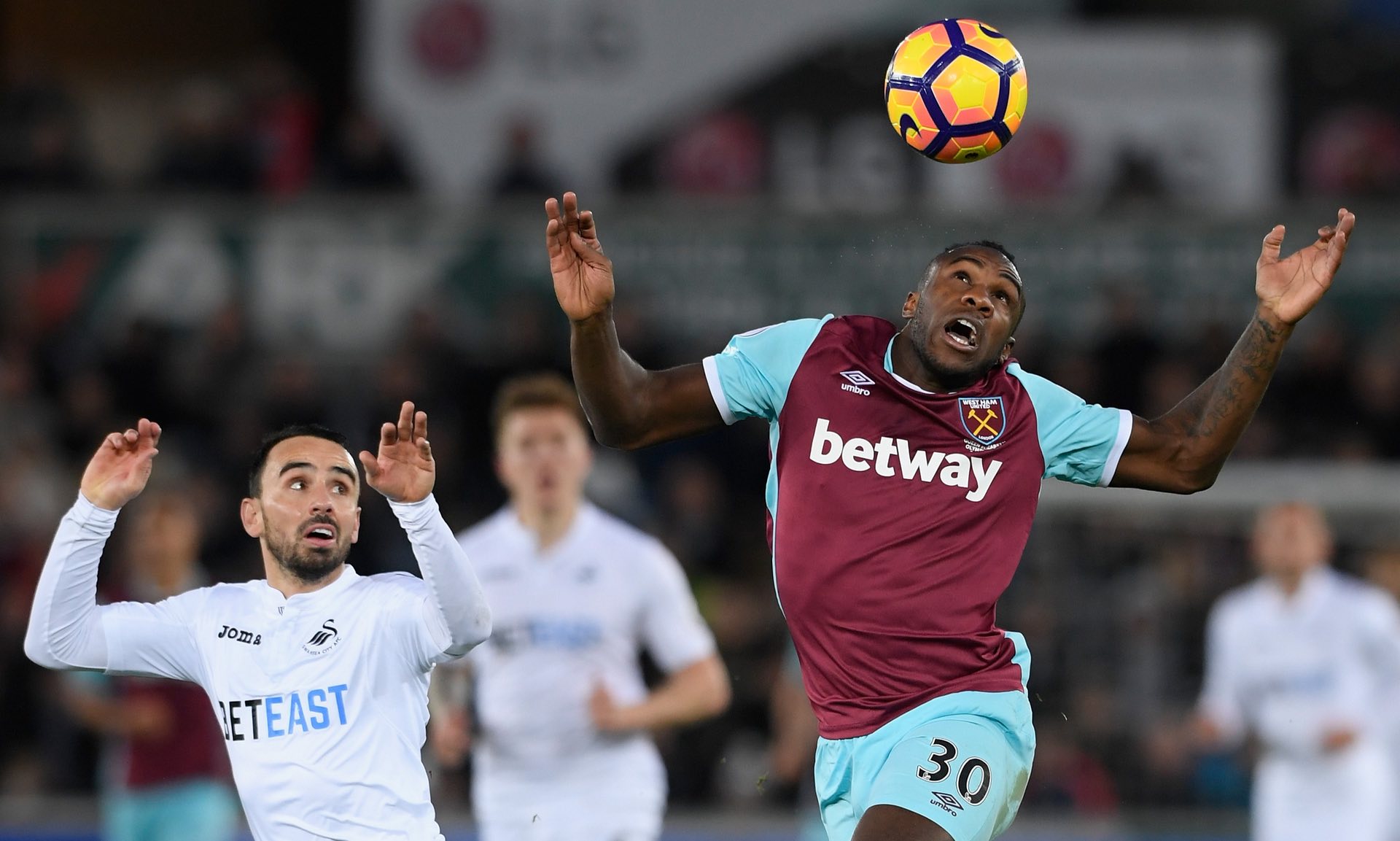 阿莱格里 阿莱格里