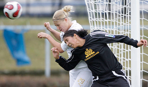 球迷和业内 球迷和业内