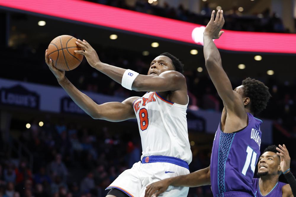 年轻力量的 年轻力量的